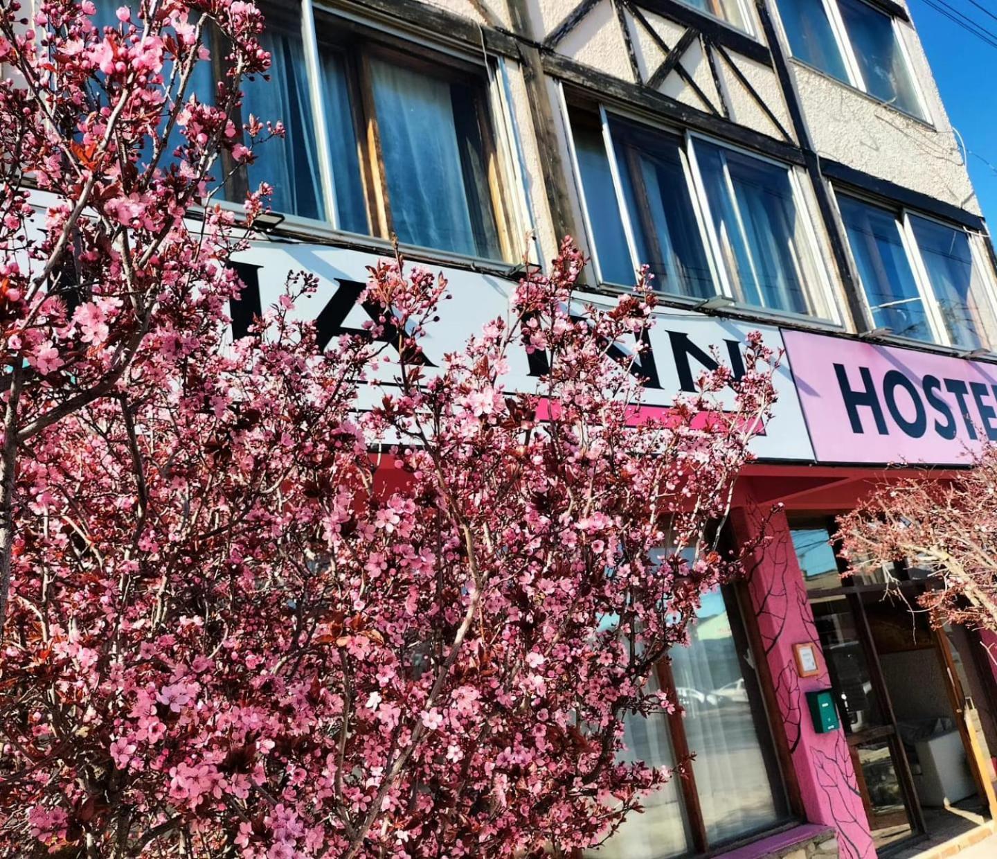 Italia Inn Hostel San Carlos de Bariloche Kültér fotó